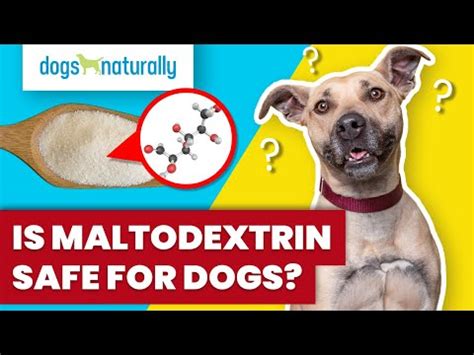 maltodextrin dogs